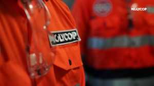 Molycop - Screensavers21