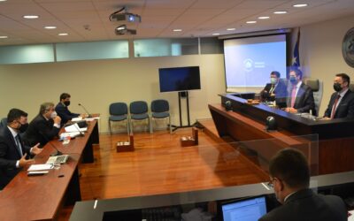 Tribunal realizó audiencia en reclamación que busca caducidad de aprobación ambiental del proyecto Puerto Cruz Grande