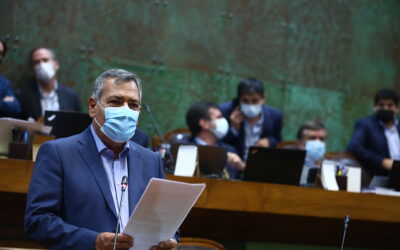 Cámara de Diputados rechazó que sea el gobernador regional quien presida la Comisión de Evaluación Ambiental