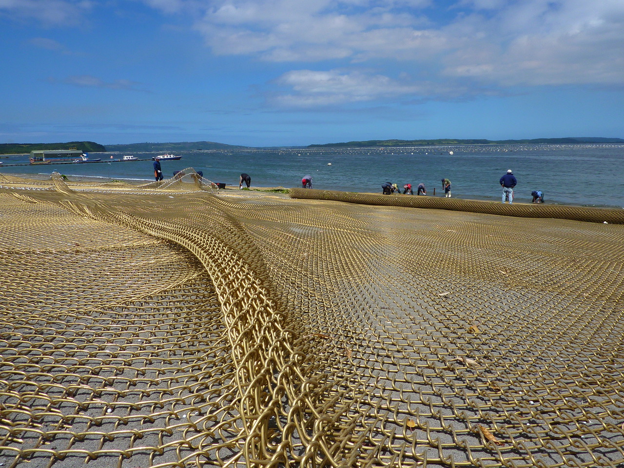 Chile lidera programa tecnológico para impulsar acuicultura sustentable en altamar con jaulas de cobre