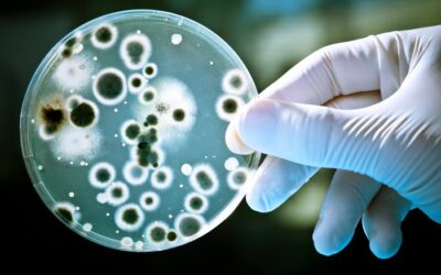Biolixiviación: Así funciona la tecnología que utiliza bacterias para extraer metal