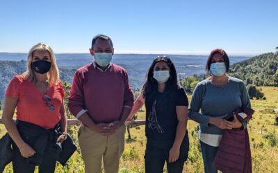 Reforestación Participativa avanza en localidad de Huellelhue en manos de comunidad indígena