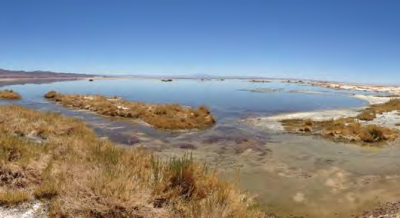 Consejo de Defensa del Estado demanda a tres mineras por daño ambiental en Salar de Atacama