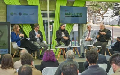 Panel de expertos abordó desafíos del litio en materia de innovación y desarrollo tecnológico