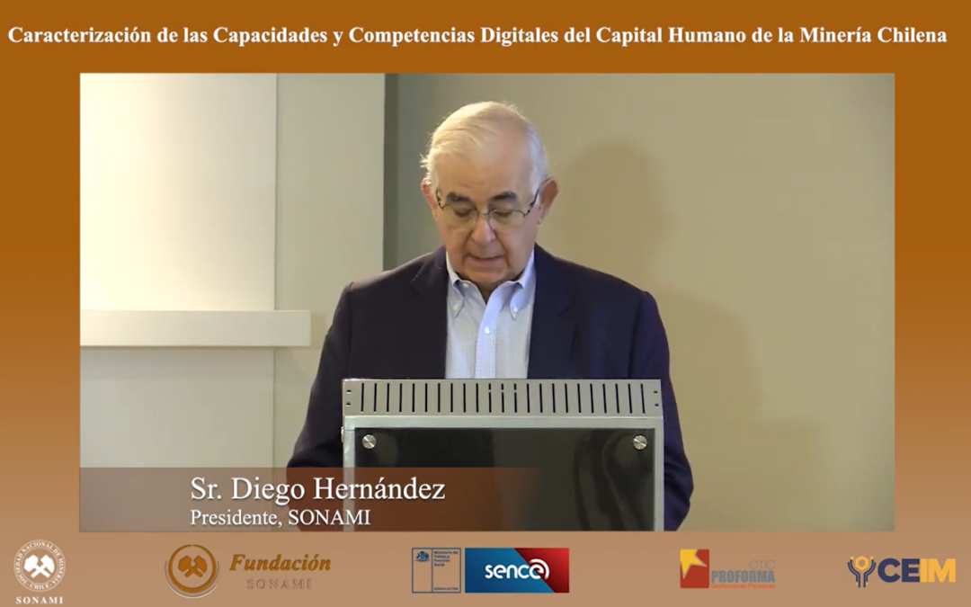 Caracterización de las capacidades y competencias digitales del capital humano de la minería chilena