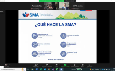 [+VIDEO] Charla de la SMA abordó normativa ambiental aplicable a proyectos de inversión a lo largo de su ciclo de vida