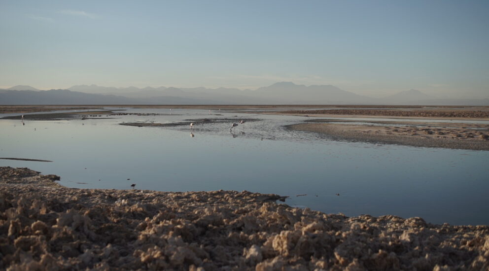 SQM forma parte de la Mesa Multiactor en la cuenca del Salar de Atacama
