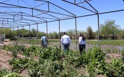 El Abra apoya a trabajadores gracias al Fondo Agrícola de Desarrollo Rural 2022
