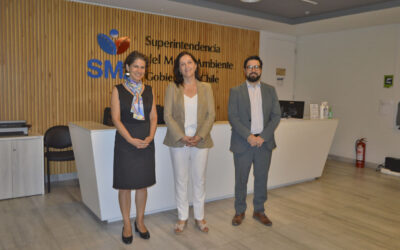 Marie Claude Plumer asume como primera superintendenta del Medio Ambiente