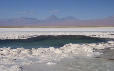 Iniciativa busca desarrollar prospección microbiológica en el Salar de Atacama