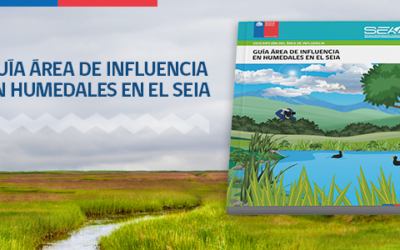 SEA publica nueva “Guía área de influencia en humedales en el SEIA”