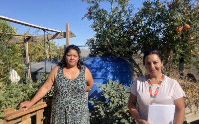 Comunidad de Huertos Familiares mejora su abastecimiento de agua potable mediante iniciativa de Codelco Andina