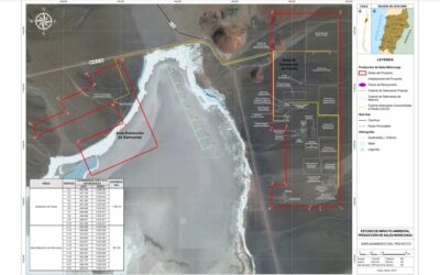 SEA incorpora a Comunidad Colla en proceso de consulta indígena de proyecto emplazado en el Salar de Maricunga
