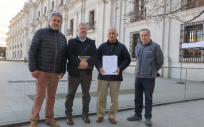 Asociaciones mineras piden intervención en Enami