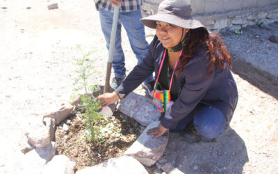 Minera El Abra lanza Fondo Ambiental para impulsar iniciativas sostenibles