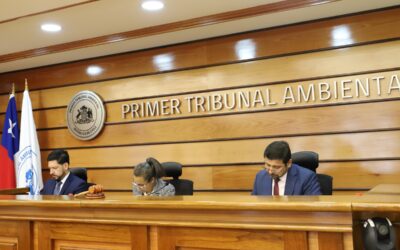 Tribunal Ambiental rechaza demanda de vecinos por PdC de Minera Candelaria