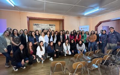 Capstone Copper Chile impulsa participación de la mujer en minería con el programa «Motor Femenino»
