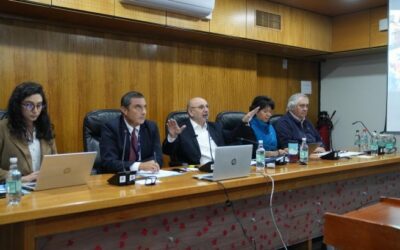 Comisión de Minería del Senado debate sobre cierre de fundición Hernán Videla Lira