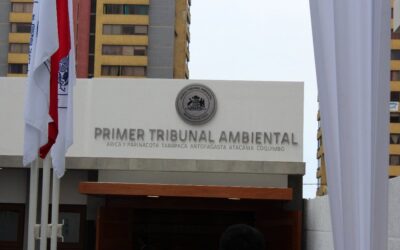 Puerto Punta Caleta: Tribunal Ambiental rechaza solicitud de medida provisional efectuada por ONG Atacama Limpia