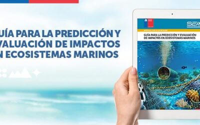 SEA publica nueva guía para la predicción y evaluación de impactos en ecosistemas marinos