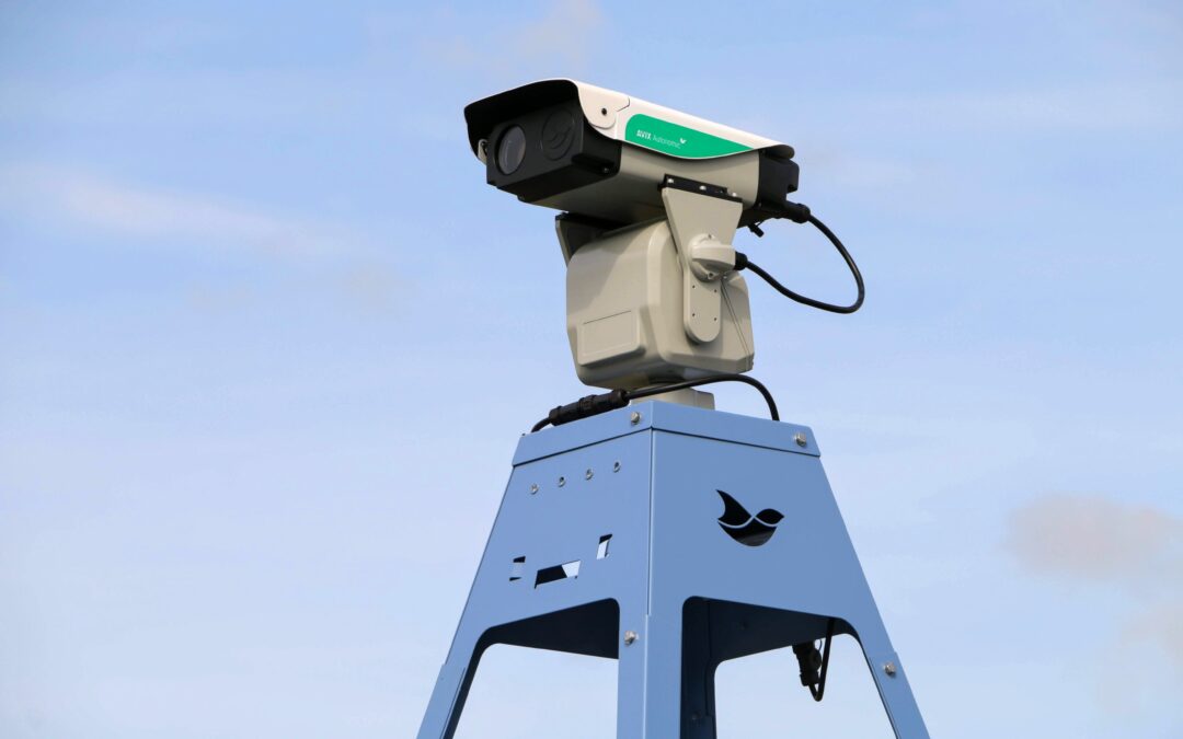 Tecnología láser de Grupo Laevo permite mitigar impactos de las aves en la minería 