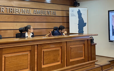 Veredicto pendiente: Tribunal Ambiental analiza caso de proyecto minero en Antofagasta