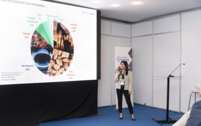 Gasco releva el rol del gas licuado en la seguridad y diversificación energética de Chile