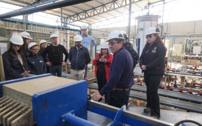 Director del Instituto Nacional de Litio y Salares visita planta piloto para conocer tecnologÃ­a de extracciÃ³n directa