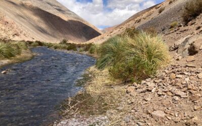 Primer Plan EstratÃ©gico de Recursos HÃ­dricos: DGA invita a participar en consulta pÃºblica