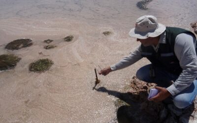 Multan a minera por incumplimientos ambientales asociadas la extracciÃ³n de salmuera