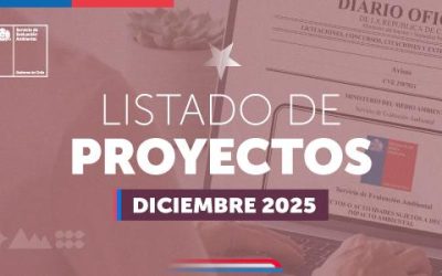 SEA: comisiones de evaluación ambiental califican 38 proyectos de inversión en diciembre