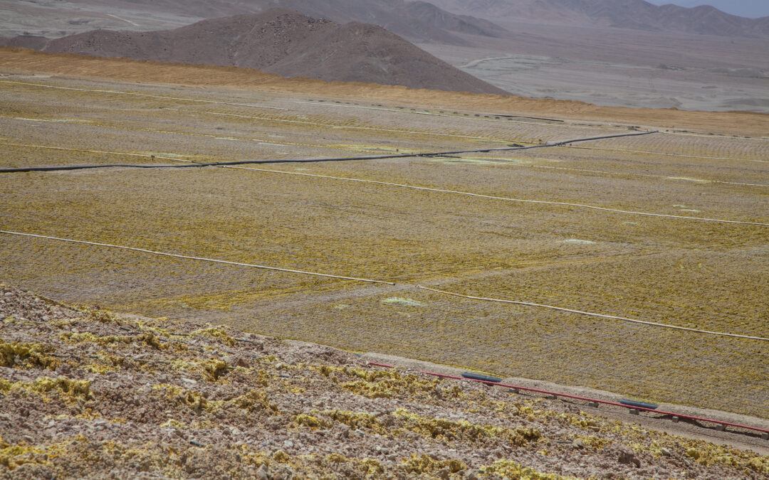 Nueva gerencia comienza a operar en Radomiro Tomic y consolida su proyecto estructural para 2030