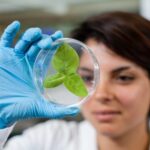 USM analiza estrategias que sostienen la permanencia de mujeres en carreras STEM