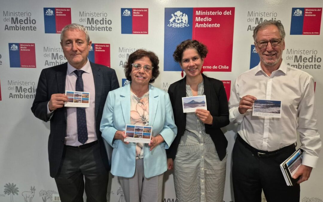 Consejo de Ministros crea Red de Salares Protegidos en la Región de Antofagasta